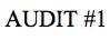 Audit 1